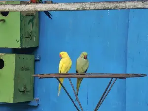 Gazipur Safari Park