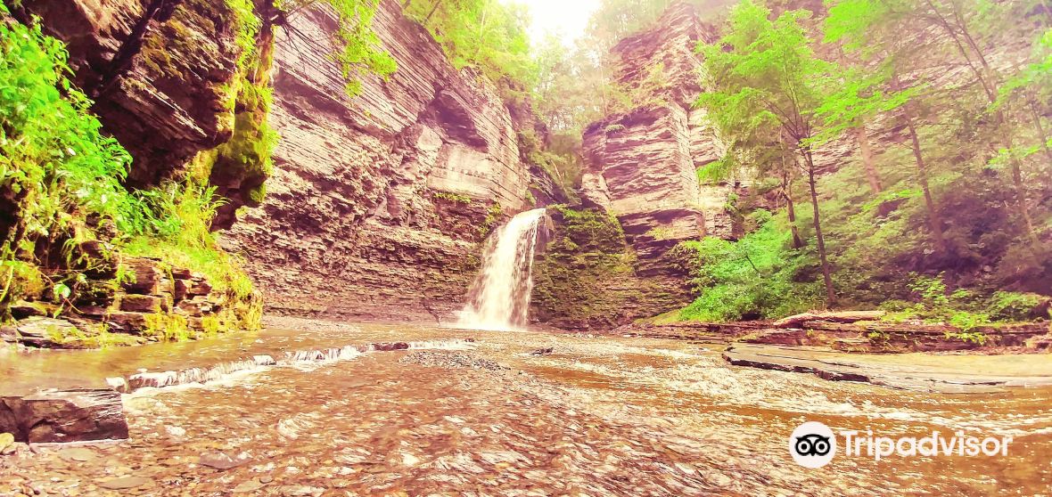 Montour Falls Travel Guide 2024 Things to Do, What To Eat & Tips