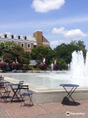 Alexandria City Hall