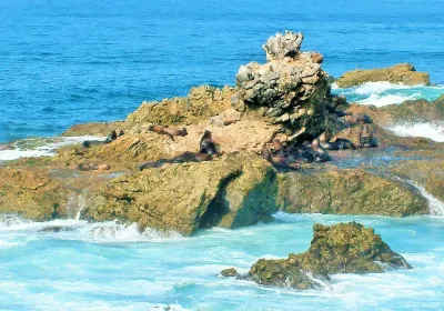 Salinas