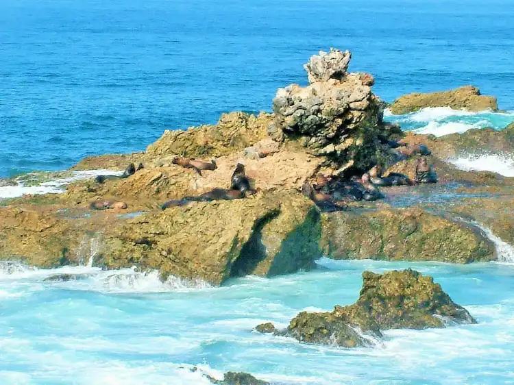 Salinas