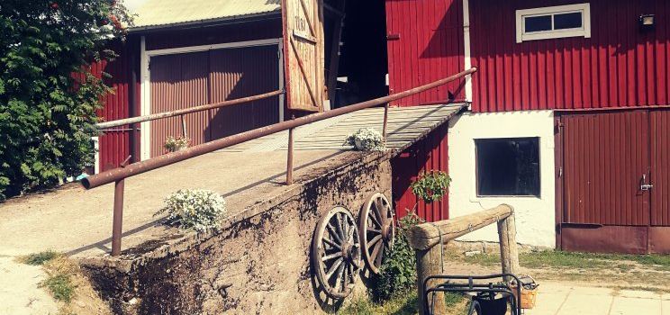 Small Domestic Animal Farm and Cafe Onni