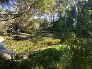 Tondoon Botanic Gardens