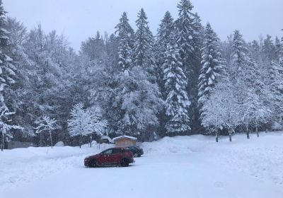 Nationalparkverwaltung Bayerischer Wald