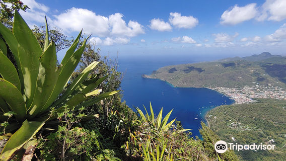 Petit Piton Climbing Expedition