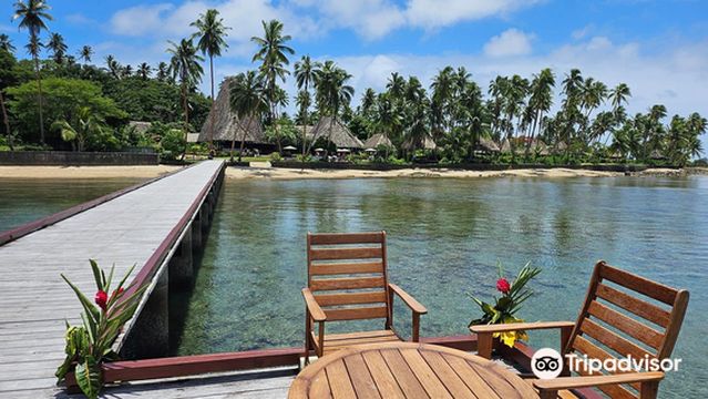 Jean-Michel Cousteau Dive Shop
