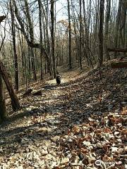 Chestnut Ridge Trail