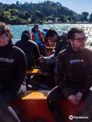 Vuelve al Oceano Escuela de Buceo