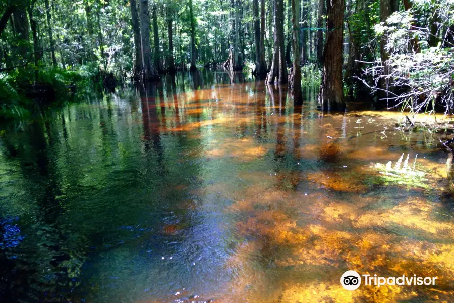 Shingle Creek Regional Park