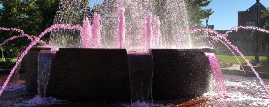 Greer City Park