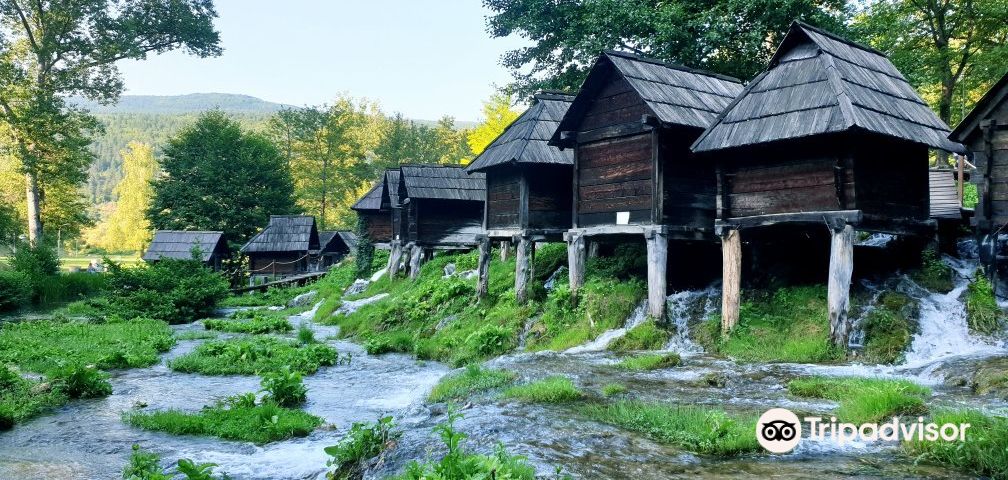 travel