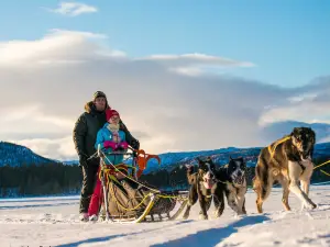 Fagerlund Husky - Dog sledding Geilo