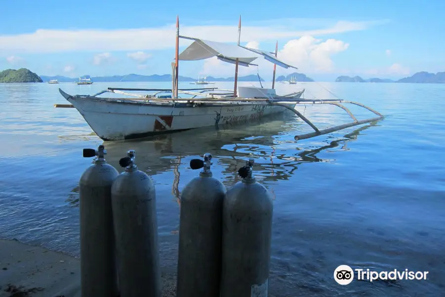 Plankton Divers El Nido