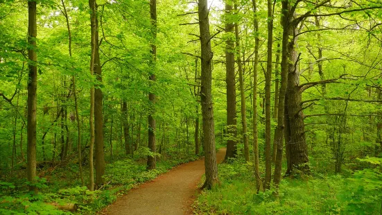 Parrott's Bay Conservation Area