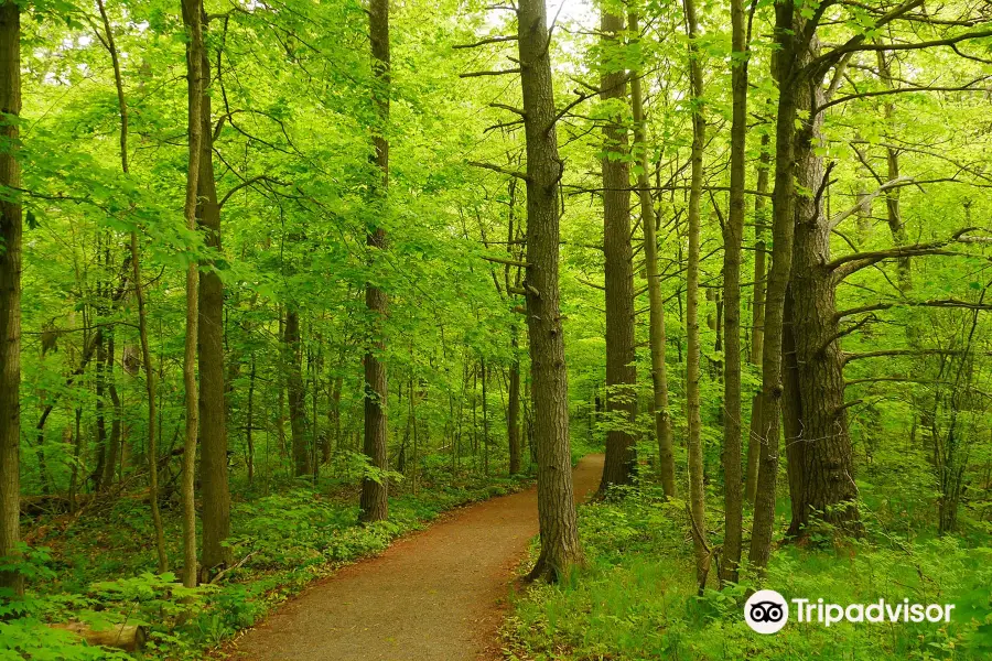 Parrott's Bay Conservation Area