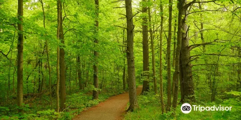 Parrott's Bay Conservation Area