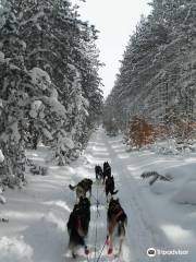 Nature's Kennel Sled Dog Racing and Adventures