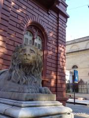 Municipal Palace (Lions Palace)