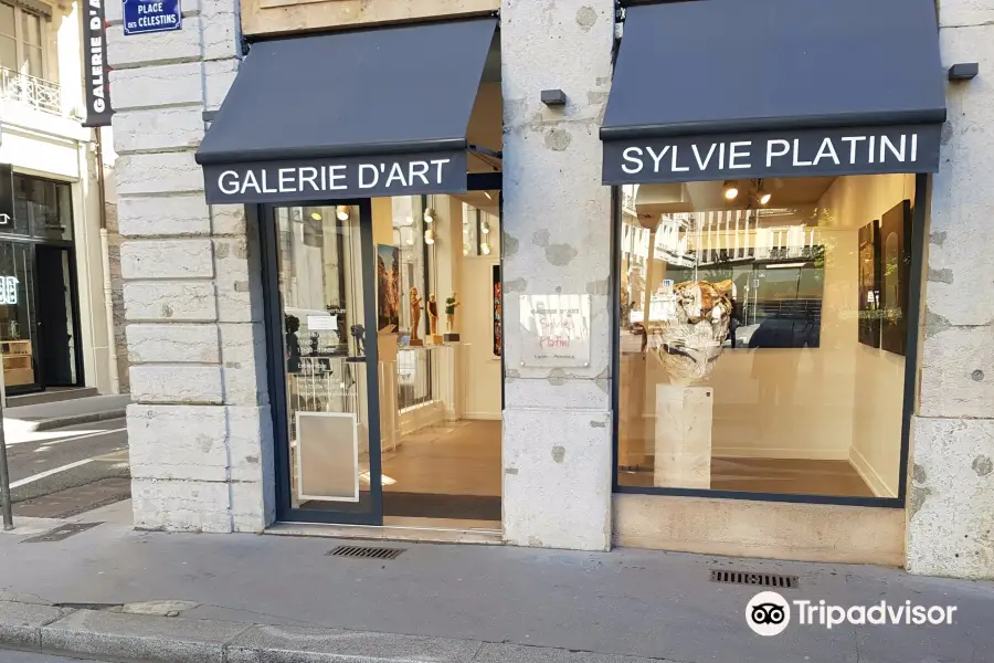 Sylvie Platini Gallery