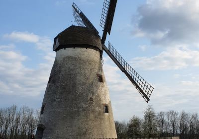 Windmühle Auf Dem Höxberg