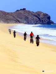 Mountain Bike Adventure by Cabo Adventures