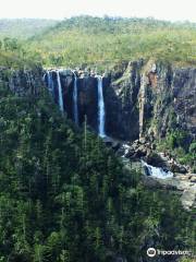 Hinchinbrook Hiking