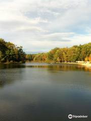 parc d'État de Whipple Dam