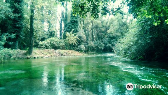 Terme Varroniane