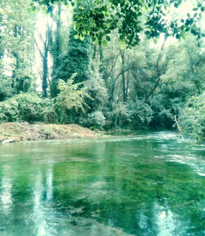 Cassino