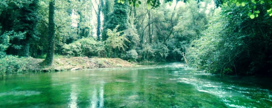 Terme Varroniane