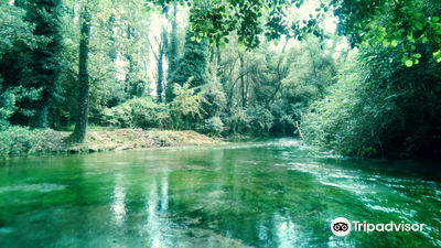 Terme Varroniane