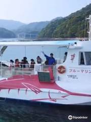 Underwater Sightseeing Boat Blue Marine