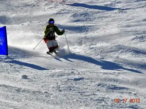 Chapman Hill Ice Rink and Ski Area