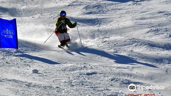 Chapman Hill Ice Rink and Ski Area