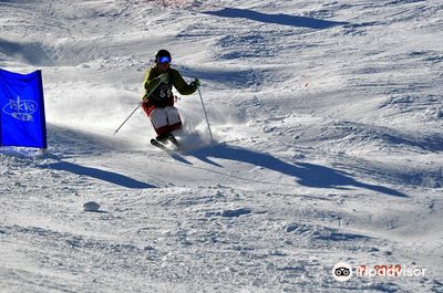 Chapman Hill Ice Rink and Ski Area