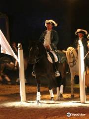 Theater Equestrian De Bretagne -