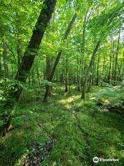 Big Hill Pond State Park