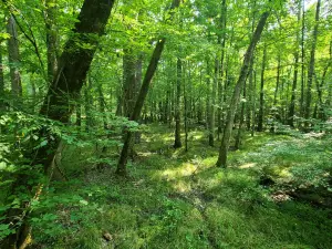 Big Hill Pond State Park