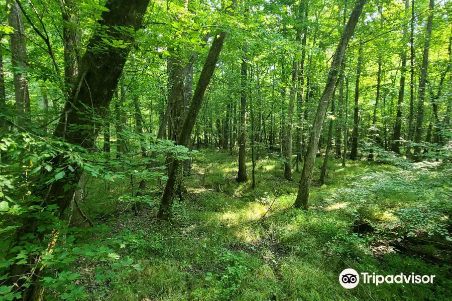 Big Hill Pond State Park