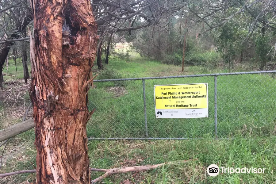 Balbirooroo Wetlands