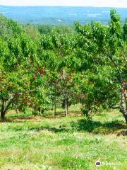 Dempsey Corner Orchards