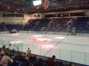 Ice Palace "Vityaz"