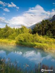 Pfyn-Finges Nature Park