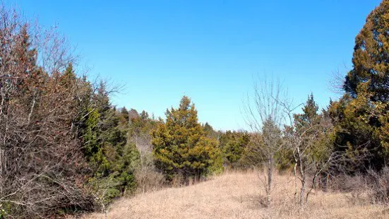 Tandy Hills Natural Area / Stratford Nature Area