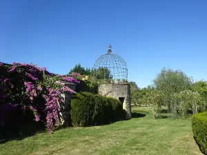 Château de Viven