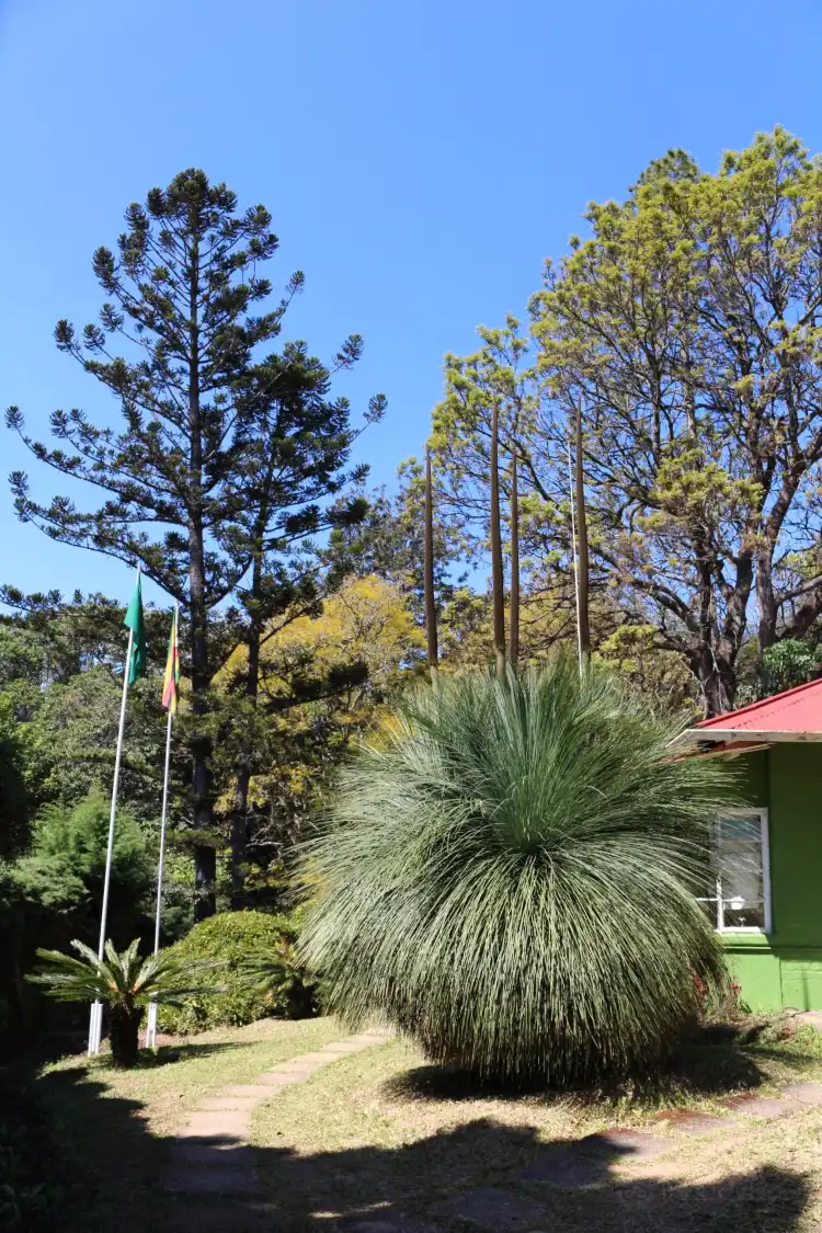 Mutare