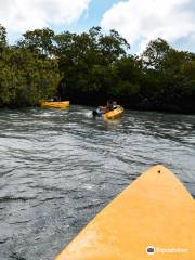 Aruba Kayak Adventure