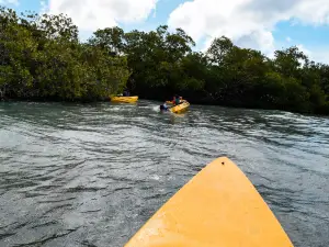 Aruba Kayak Adventure