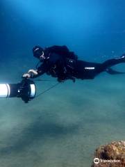 Fuerteventura Diving