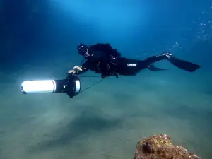 Fuerteventura Diving